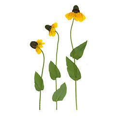 Pressed Native Texas Wildflower Art Prints: Modern Botanical Wall Decor