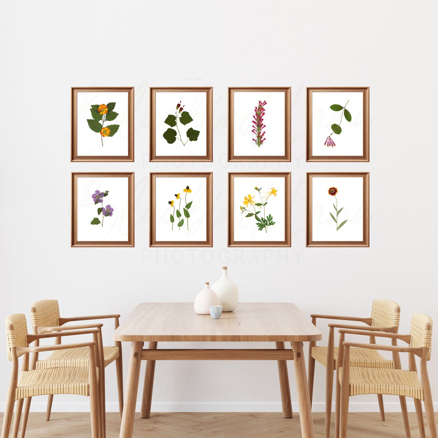 Pressed Native Texas Wildflower Art Prints: Modern Botanical Wall Decor