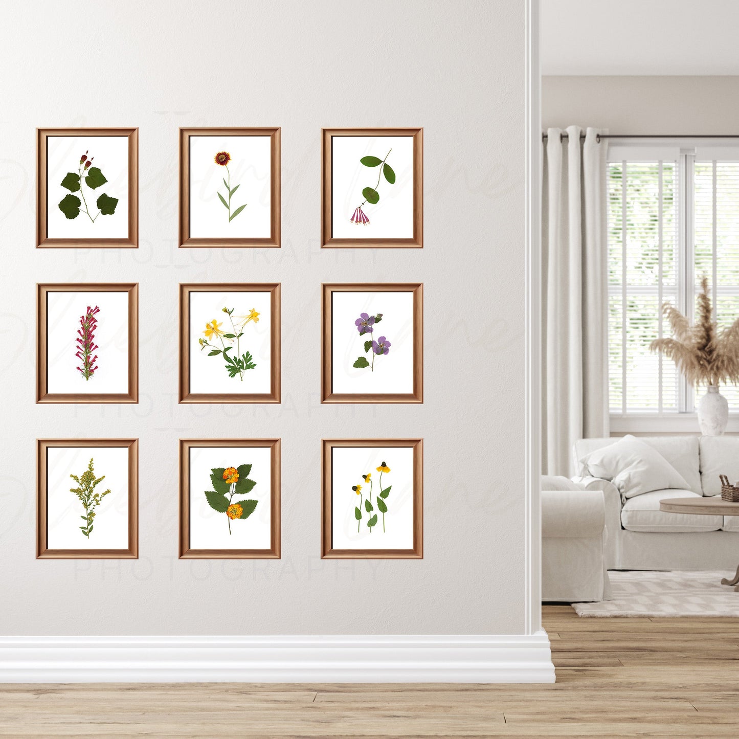 Pressed Native Texas Wildflower Art Prints: Modern Botanical Wall Decor